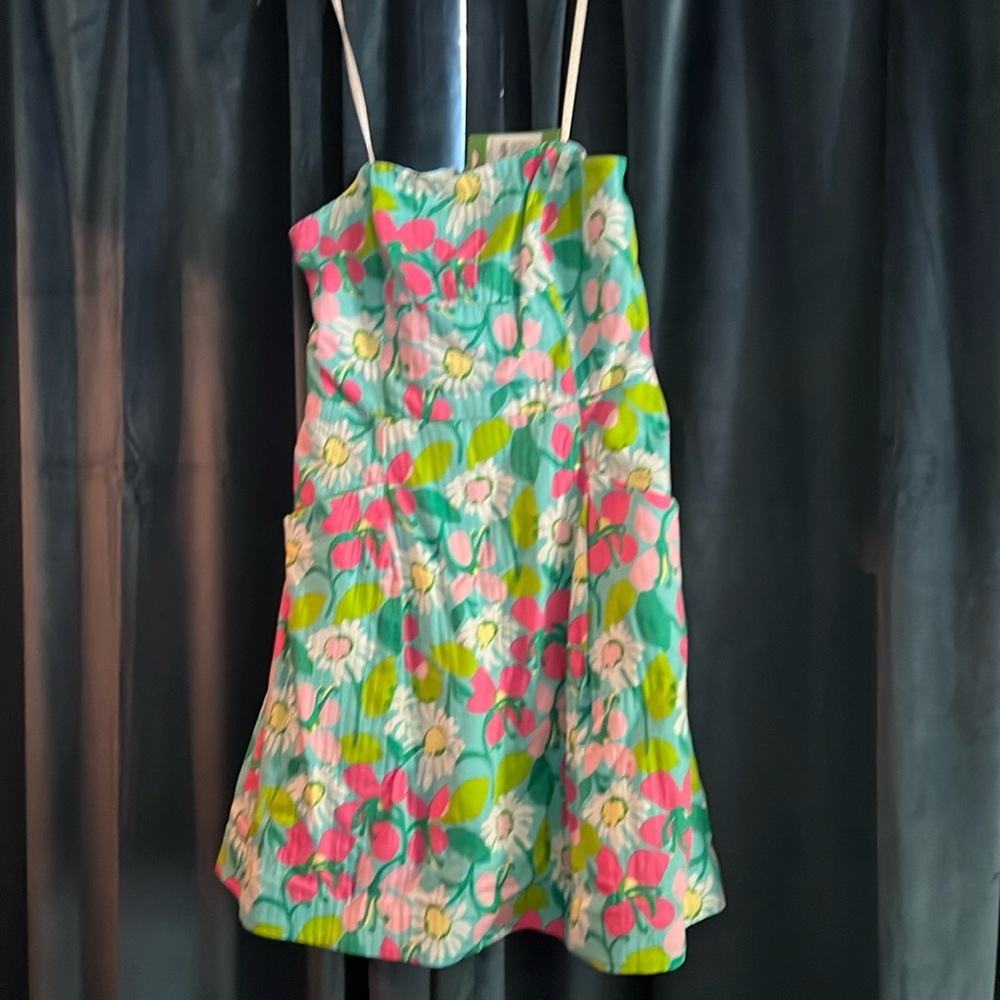 Brand new, never worn Lilly Pulitzer mini dress. Zips in back.